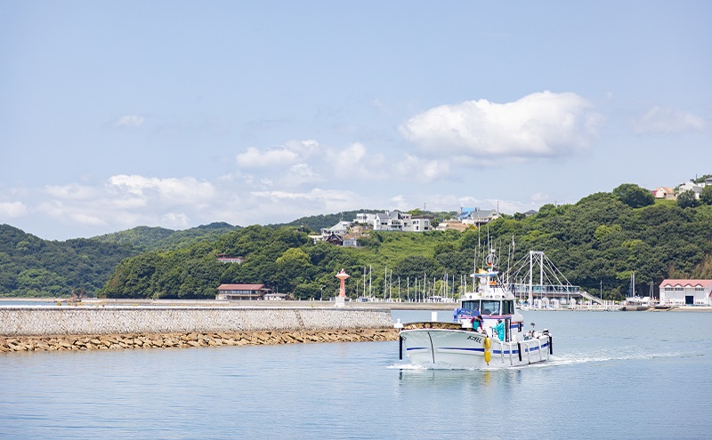 服部水産のちり旨ふりかけ 味比べセット/ 梅小町 味ゴマひじき 岡山 瀬戸内市 牛窓 【ちりめん あみえび ふりかけ カリカリ おにぎり 混ぜご飯 ご飯のお供 】