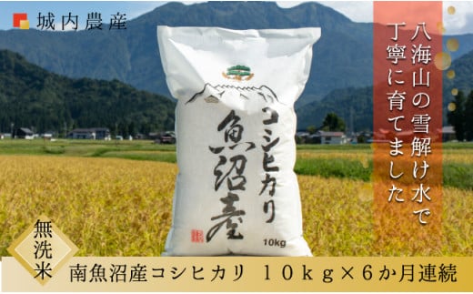 【令和７年産新米予約】【お米定期便/全６回】南魚沼産コシヒカリ　無洗米１０ｋｇ＜５割減農薬栽培米＞城内農産【2025年10月上旬より順次発送予定】