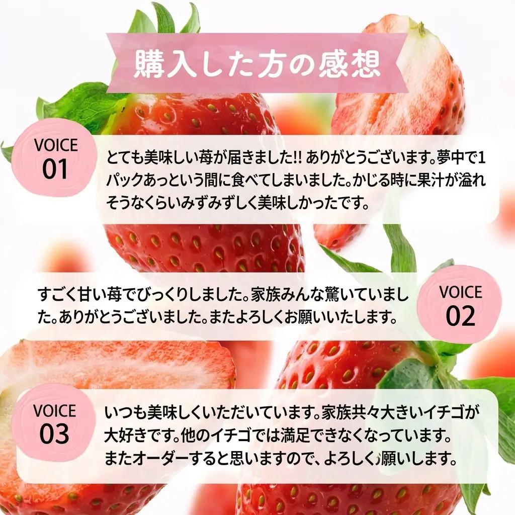 【定期便3ヶ月】 いちご あまおう 400g 特選 いちご イチゴ 苺