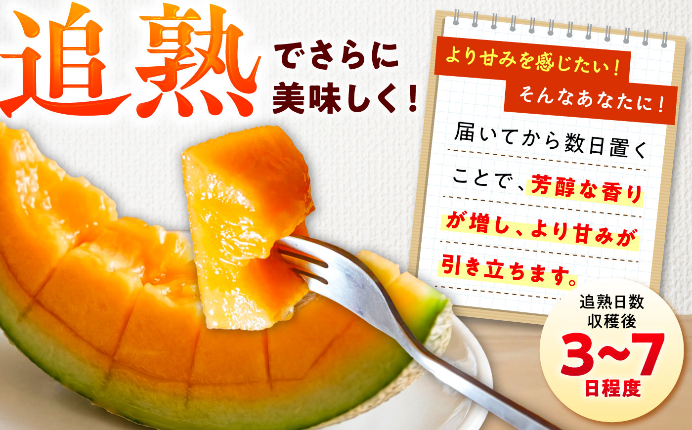 【2026年7月～順次発送】 赤肉 メロン ルピアレッド 2玉 | 赤肉メロン めろん 先行予約 北海道 メロン赤肉 | JAみねのぶ [BOAG007]