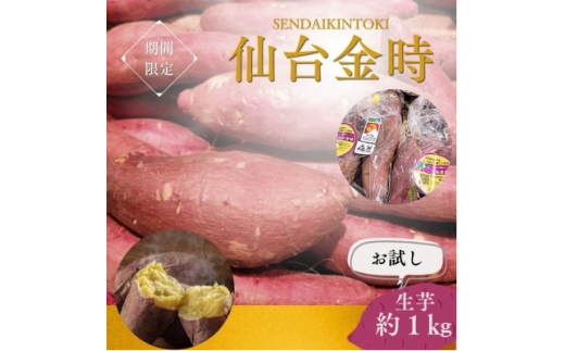 ＜宮城県産＞仙台金時　さつまいも約1kg【1748706】