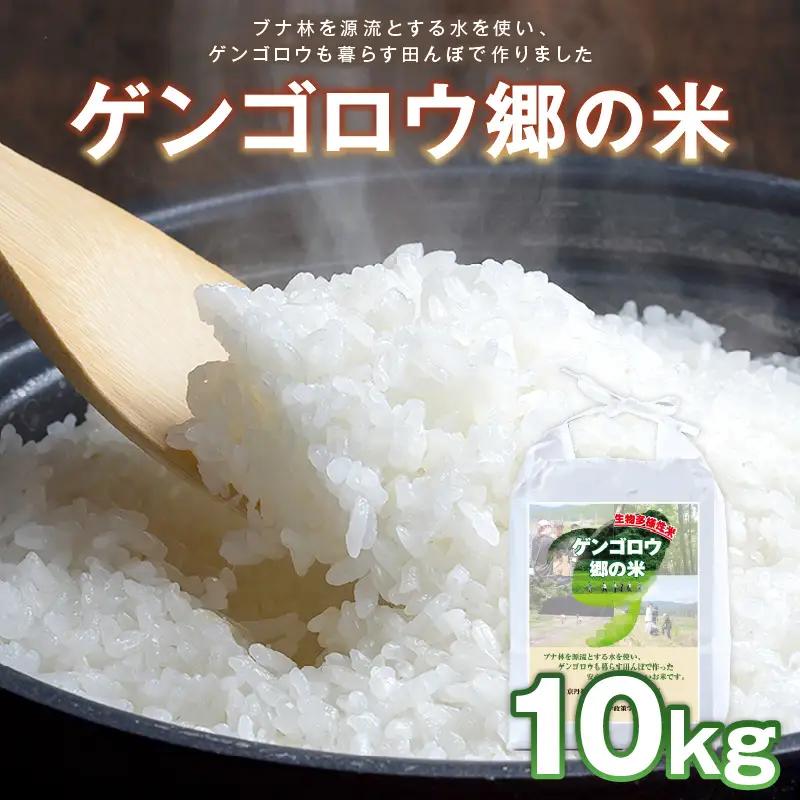米 新米 2025年産 京丹後産生物多様性米コシヒカリ 10kg