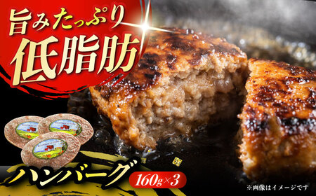 北海道 北十勝 短角牛 ハンバーグ 160g×3個《足寄町》【北十勝ファーム】肉 ハンバーグ 牛肉 赤身 和牛 160g ギフト 十勝 北海道産 道産 あしょろ 北海道 [BEAI004]