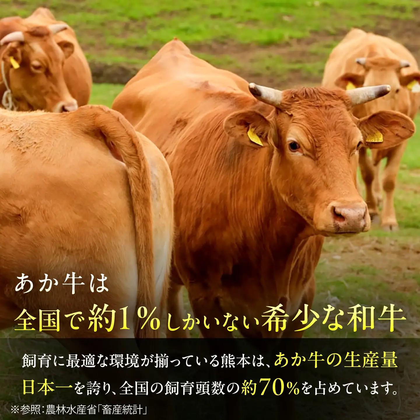熊本和牛 あか牛 ぎょうざ セット 60個入り 餃子 BHAS007 餃子