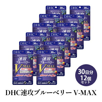 【ふるさと納税】速攻ブルーベリー V-MAX サプリメント 健康食品 加工食品 ビルベリー ルテイン アスタキサンチン アントシアニン ビルベリーエキス末 静岡県袋井市