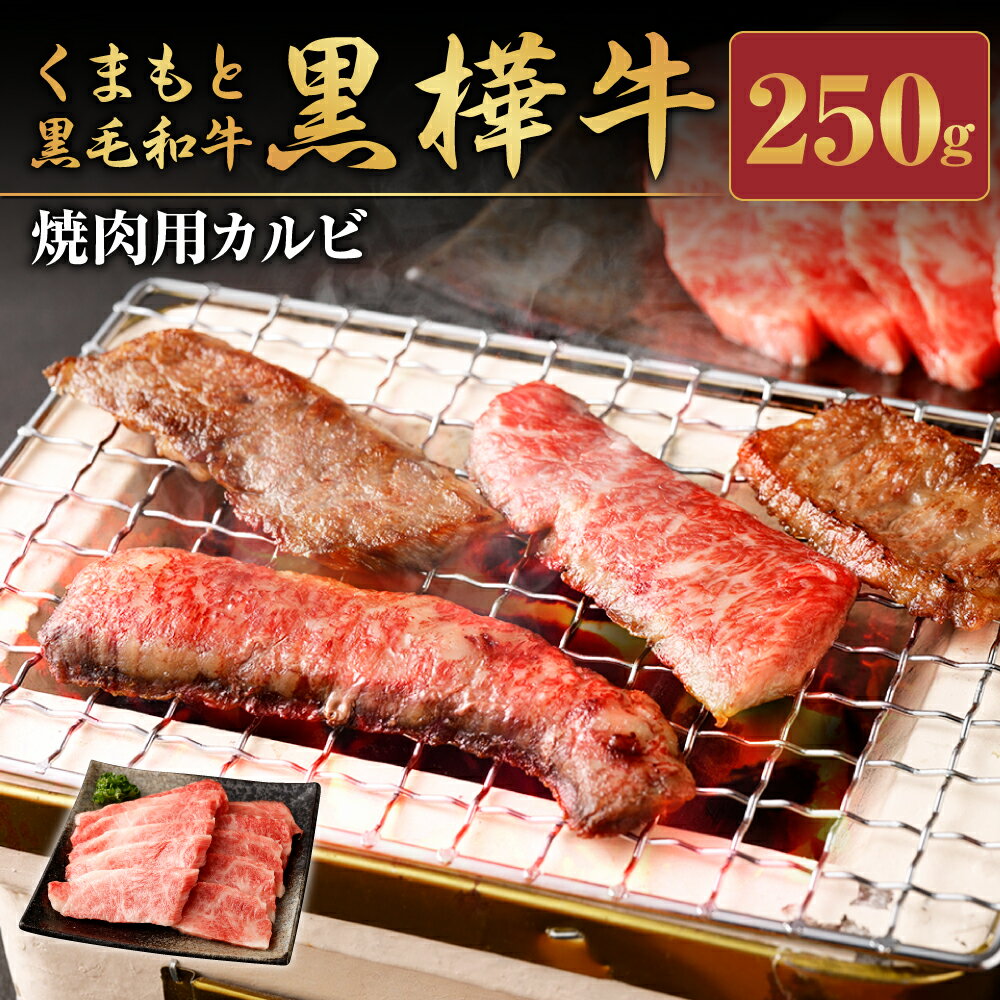 【ふるさと納税】くまもと黒毛和牛 黒樺牛 A4〜A5等級 焼肉用カルビ 250g 牛肉 牛 霜降り 赤身 お肉 焼き肉 BBQ 黒毛和牛 国産 九州産 熊本県産 冷凍 送料無料