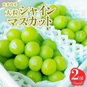 【ふるさと納税】山形市産 大粒シャインマスカット 1kg以上 2房 【令和7年産先行予約】FS24-763