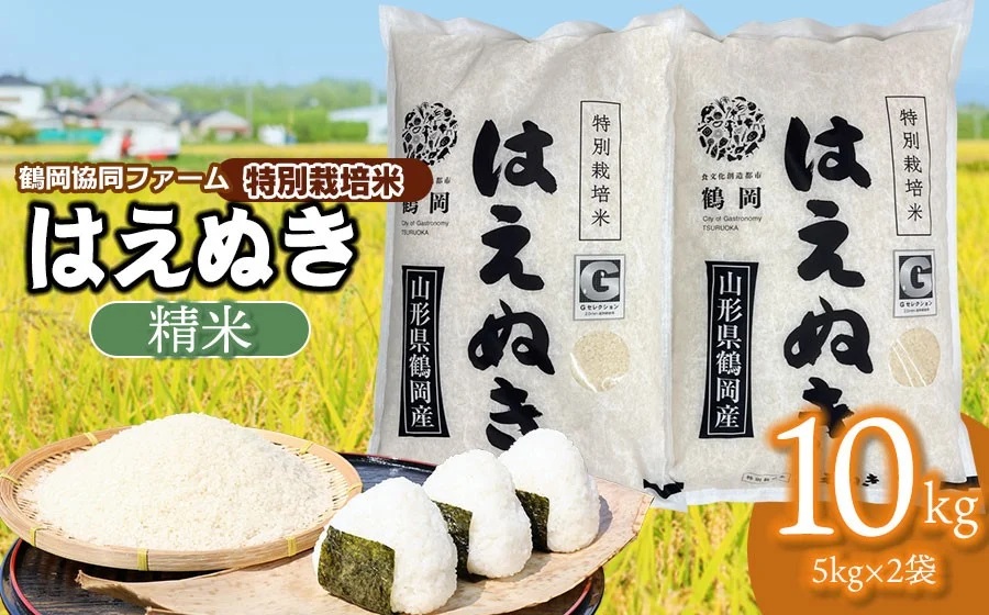 【令和7年産】 特別栽培米はえぬき　10kg　(5kg×2袋)　山形県鶴岡産　鶴岡協同ファーム