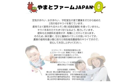 ＜12月頃発送＞奈良県 室生産 こだわり プレミアムキウイフルーツLサイズ14個×2箱入追熟処理済／ やまとファームJAPAN  果物 旬の食材 お取り寄せ お土産 贈答品 化学肥料不使用 特別栽培 