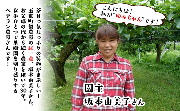 『ゆみちゃん農園』の玉東梨 約5kg 7玉-16玉前後 《2026年8月下旬-10月上旬頃出荷》熊本県玉名郡玉東町 梨 なし 果物 フルーツ 旬の梨
