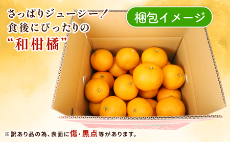 はっさく 訳あり 八朔 10~12kg 先行予約 ふるくとファーム かなこちゃんち 果物 くだもの フルーツ 柑橘 みかん 蜜柑 mikan わけあり 訳アリ 訳あり品 ビタミンC たっぷり 愛媛ミカ