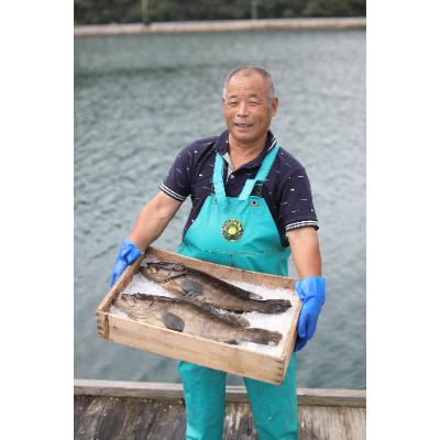 ふるさと納税 対馬市 クエ・剣先イカ詰め合わせ |  | 03