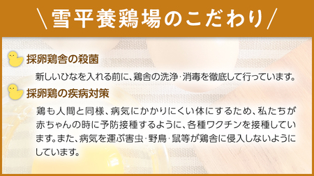 【ふるなび限定】【6ヵ月定期便】雪平養鶏場 桜川育ちの 新鮮 たまご 合計180個 （20個＋10個割れ補償付)×6回 [SC034sa] FN-Limited-PR