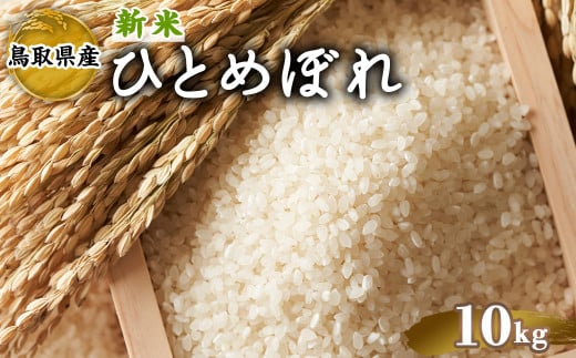 ＜2025年9月中旬～2026年8月下旬発送予定＞＜数量限定＞令和7年産新米鳥取県産ひとめぼれ(10kg)【sm-DD063】【Workplays】