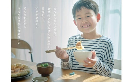 うらわ餃子　レギュラー30個×2　【11100-0731】