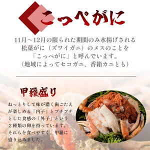 【2月発送】 松葉がに 夫婦甲羅盛り オス１個＋メス３個 セット 特製だし醤油付き かに