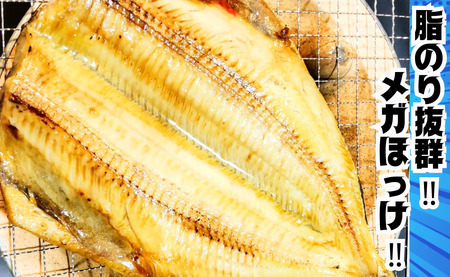 【丸安】メガほっけ開き 特大サイズ ３枚 ほっけ ホッケ 縞ほっけ 縞ホッケ 縞ほっけ干物 縞ホッケ干物 特大 メガサイズ 創業90余年 干物 干物専門店 高級干物 和食 酒の肴 グルメ つまみ おつ