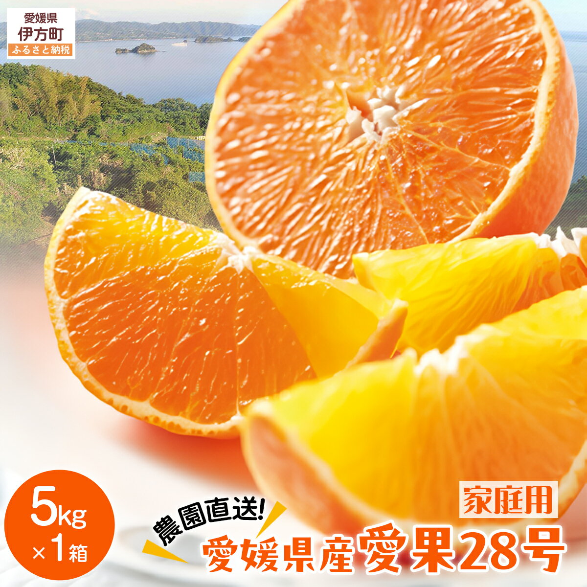 【ふるさと納税】【先行予約】【数量限定】＼農園直送／愛媛県産 愛果28号（家庭用） 5kg×1箱（サイズ混合）（2025年12月中旬より順次発送） 【ふるさと納税 人気 おすすめ ランキング 柑橘 みかん ミカン 蜜柑 愛果28号 紅 まどんな と同品種 果物 フルーツ 】 IKTV005
