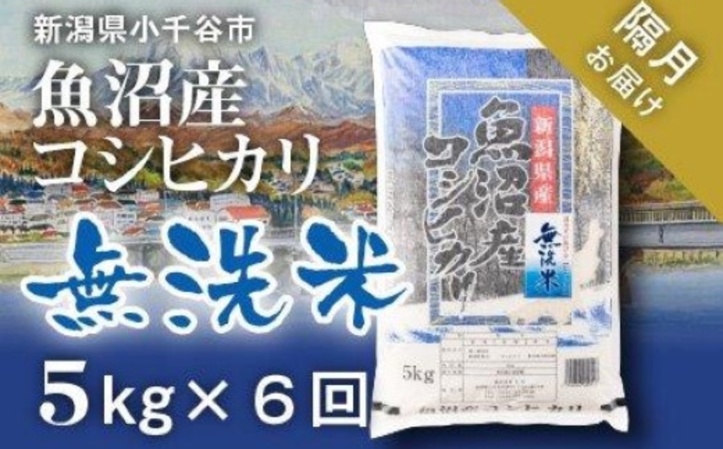 
                  先行予約 魚沼産コシヒカリ 無洗米 定期便 5kg×6回【計30kg】令和8年産 隔月お届け 米太 | 2ヶ月に1回 新潟県産 こしひかり お米 白米 精米したて 頒布会 産地直送 30キロ 魚沼コシ 一人暮らし【0020-KT15DB00】
                