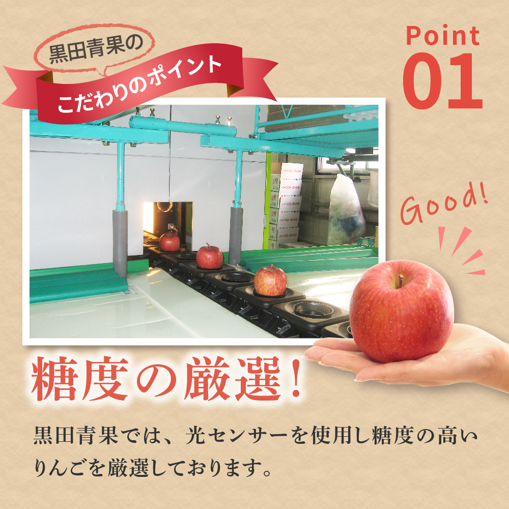 【2026年1月後半発送】【訳あり】青森県産葉とらずサンふじりんご約3kg
