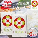 【ふるさと納税】 ＜1月中旬発送＞ 山形米 6か月定期便！ 雪若丸 10kg （入金期限：2024.12.31） ブランド米 ふるさと納税 米 定期便 山形県