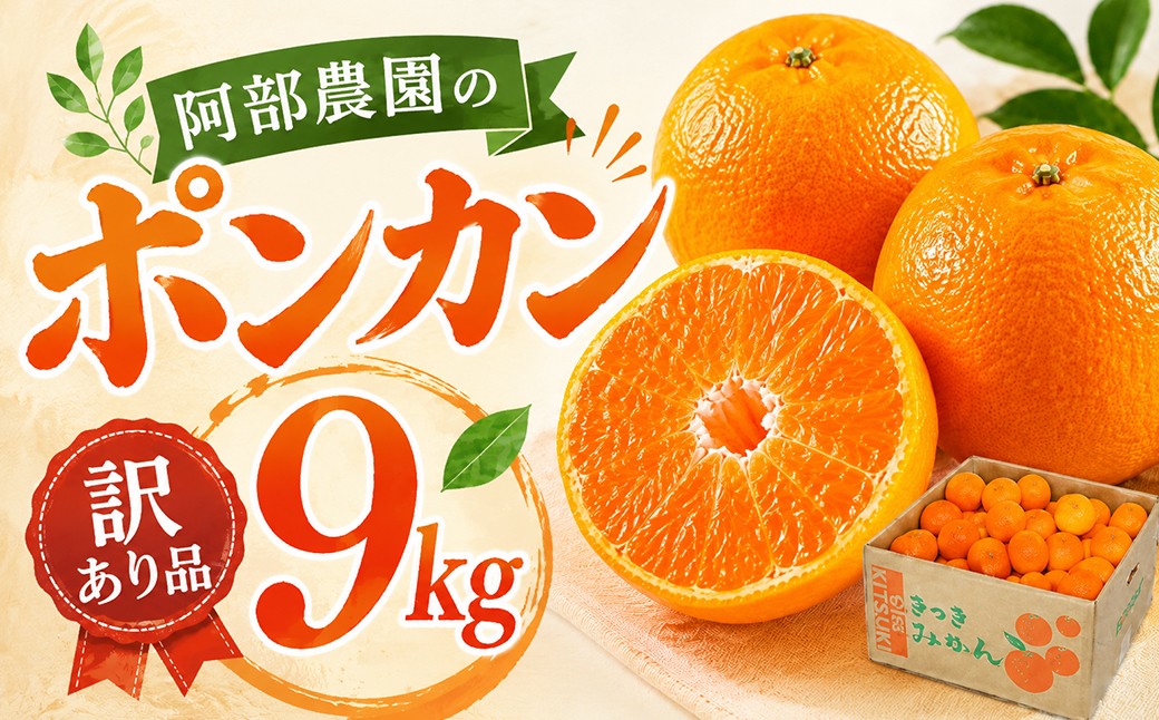 
                  【2027年先行予約】【訳あり品】阿部農園の「ポンカン 約9kg」 ／ ミカン みかん 蜜柑 柑橘 ポンカン ぽんかん 訳あり わけあり ワケアリ 9kg 柑橘類 フルーツ 先行予約 1月 2月 1月発送 2月発送＜112-005＞
                
