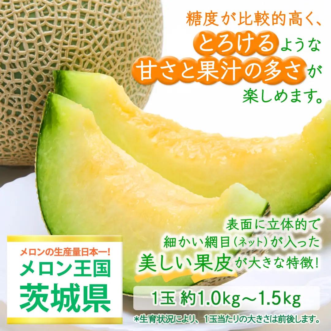 【定期便】 アールスメロン 3玉 × 12か月連続