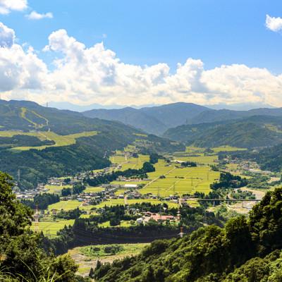 ふるさと納税 十日町市 【毎月定期便】【中里地域限定!魚沼産 新之助】20kg(5kg×4袋)×6 合計120kg全6回 |  | 02