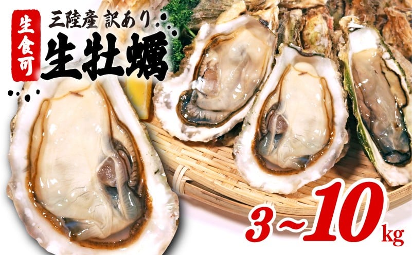 
            訳あり 牡蠣 生食 可能 冷凍 殻付き 牡蠣 3kg/5kg/6kg/10kg 三陸産 不揃い カキ かき 生食用 カンカン焼き ガンガン焼き 蒸し牡蠣 生牡蠣 カキ 真牡蠣 BBQ 国産牡蠣 三陸牡蠣 冷凍牡蠣 訳あり牡蠣 岩手県 大船渡市 送料無料
          