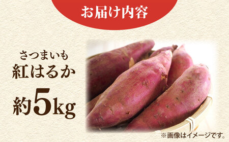 【先行予約】さつまいも　紅はるか　約5㎏（10月～12月）【鈴也ファーム】[AKCE025]