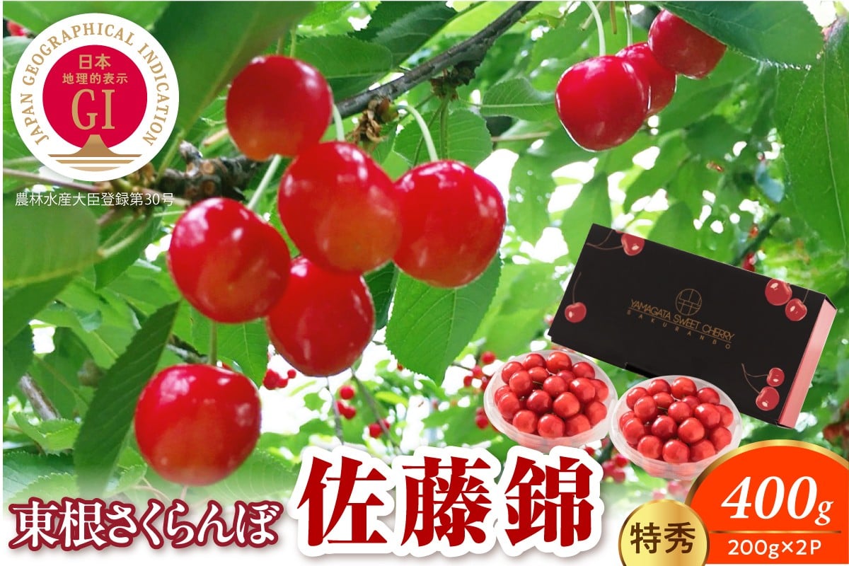 
            【2026年度】 GI 規格 佐藤錦200g×2P 特秀 L以上 千笑花夢提供 山形県 東根市 hi082-062
          