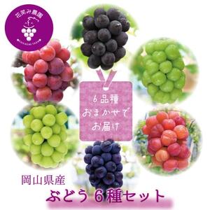 【2026年先行受付】岡山　花笑み農園のブドウ『食べ比べ6種セット』6M-5【配送不可地域：離島】【1695980】