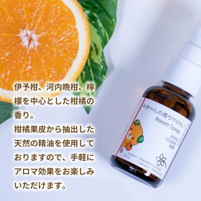 ふるさと納税 松山市 ルームスプレー 2本 (各30ml) 『みきゃんの香りやけん!』『さわやかすぎてまいったぜ!』 |  | 02