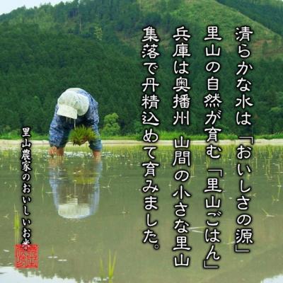 ふるさと納税 加西市 無洗米 【令和7年産】ヒノヒカリ 10kg (5kg×2)[無洗米] 精米[No5698-7838] |  | 01
