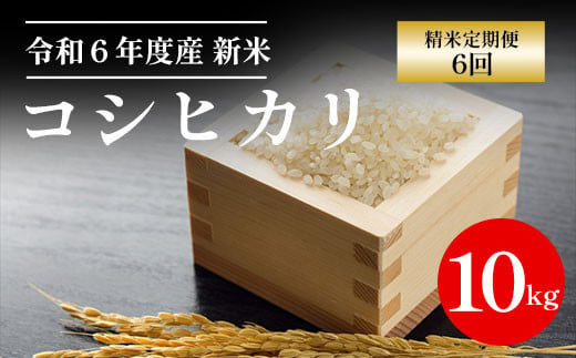 【令和6年産新米】京都丹波福知山産 10kg コシヒカリ精米定期便６回 ／ ふるさと納税 精米 米 こめ ご飯 ごはん 白米 コシヒカリ こしひかり 特別栽培米 京都府 福知山市 FCCN016