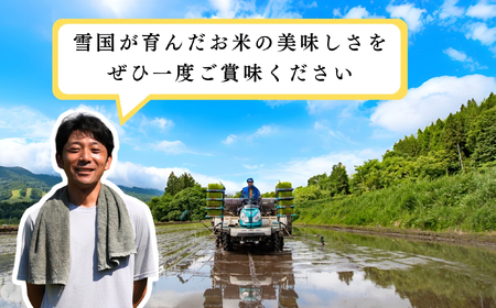 【令和７年産 新米】定期便 5kg×3回【1月発送開始】瑞穂 豊米（ゆたかまい）（7-55A-01）長野県 飯山市 おすすめ ランキング おいしい 高評価 大人気 ギフト こしひかり 米 お米選べる配
