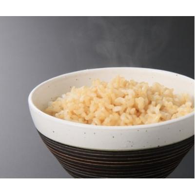 ふるさと納税 三川町 【令和7年産】玄米はえぬき10kg+つや姫パックライス4P HM1-004 |  | 01