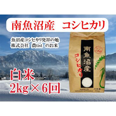 ふるさと納税 南魚沼市 【毎月定期便】南魚沼産 コシヒカリ 白米2kg全6回