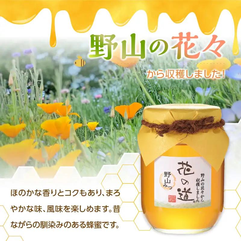 国産純粋蜂蜜 野山みつ 750g 非加熱 はちみつ ハチミツ 生はちみつ ローハニー オススメ 贈答 贈り物 プレゼント 八女市 183-027