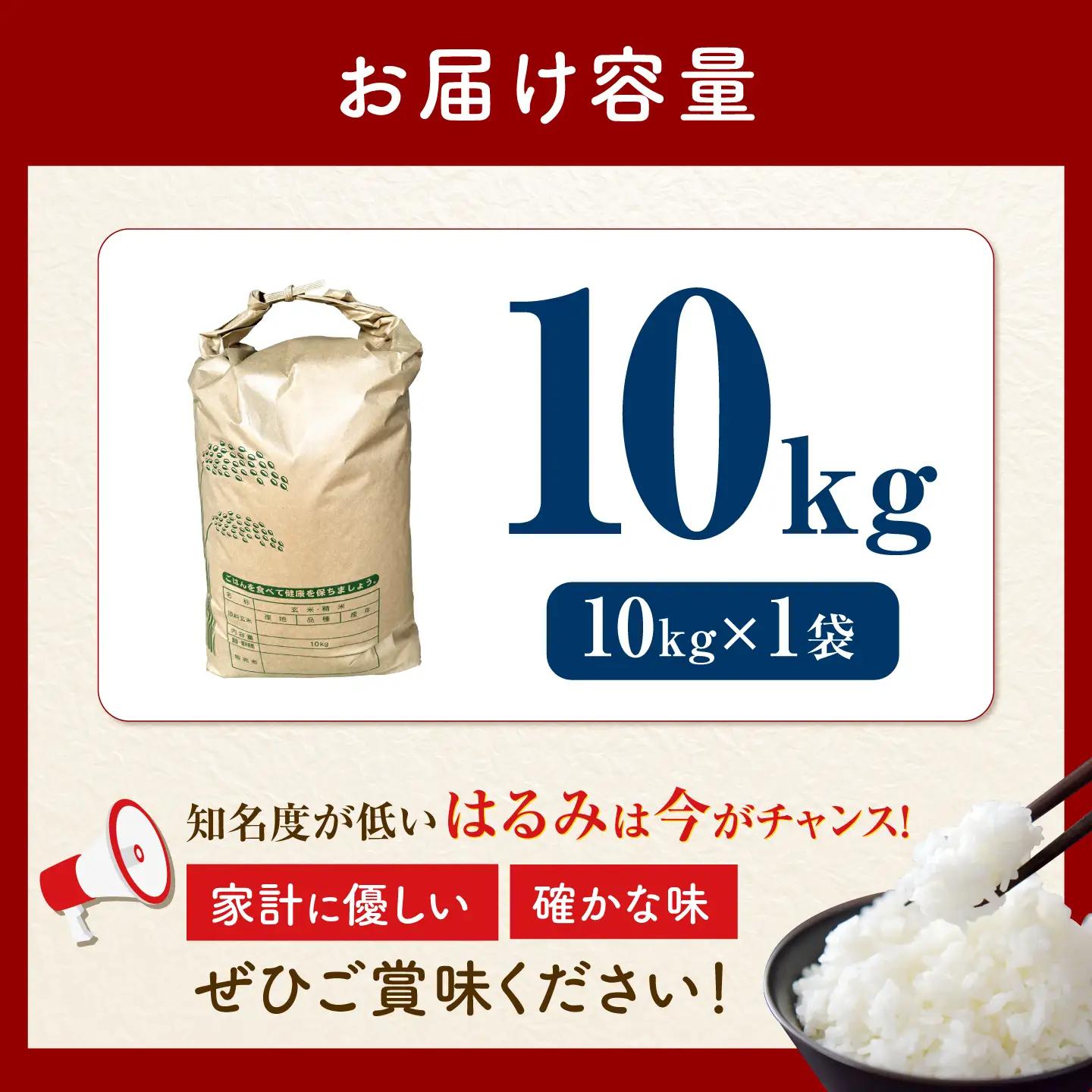 米 はるみ米 10kg 白米 [BDBB003]