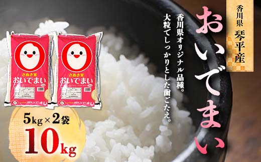 令和6年度産 新米 香川県琴平産おいでまい 5kg×2 米 精米 おいでまい さぬき米 5kg セット ギフト 贈り物 四国 新米 F5J-757