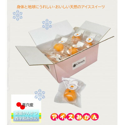 【ふるさと納税】【真穴産】冷凍みかん　えひめのアイスみかん　10袋詰め【C82-3】【配送不可地域：離島】【1626299】
