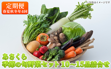 【定期便】 野菜セット 年4回 春夏秋冬 おまかせ 10～15種 野菜セット