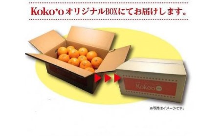 【2026年10月中旬頃から順次発送】【温州みかん】 極早生 優品・家庭用 約5kg | 愛媛 【温州みかん】 【KK0501】