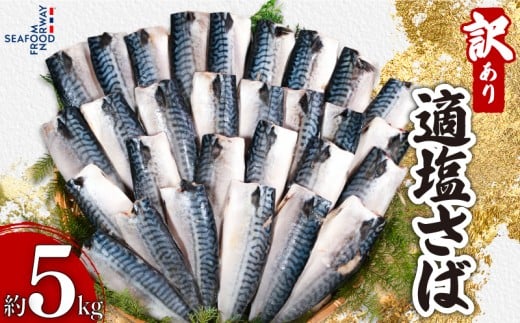 訳あり 適塩さば 5kg 塩さば 塩鯖 さば 鯖 さばフィーレ 鯖フィーレ さばフィレ 鯖フィレ 規格外 切り身 切身 無添加 添加物不使用 ノルウェーサバ ノルウェー産 小分け 個別冷凍 お弁当 惣菜 おかず 塩焼き 焼きさば 味噌煮 調理用 料理 冷凍 冷凍品 長期保存 お取り寄せ グルメ 魚 大容量 海鮮 海の幸 水産 ふるさと納税 ふるさと納税さば 送料無料 千葉県 銚子市 エドノフーズ