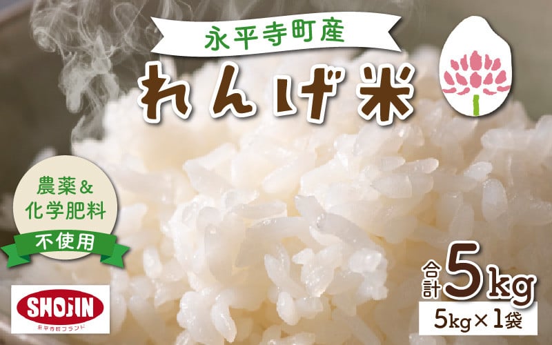 
            令和7年産  農薬不使用・化学肥料不使用 永平寺町産 れんげ米 5kg [B-002026] / 白米 米 5キロ お米 コシヒカリ こしひかり 精米 福井
          