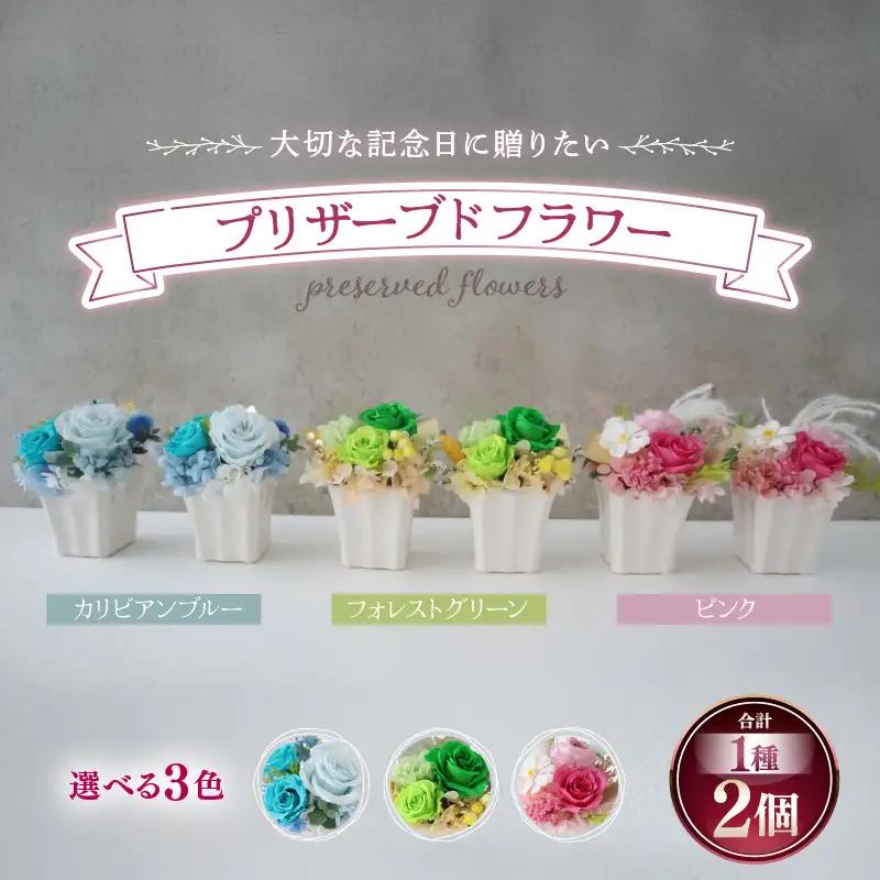 プリザーブドフラワー【グリーン】 2個セット ＜大切な記念日に ペアで飾って＞ ／ インテリア ウェディング 結婚祝 結婚記念日 誕生日 お祝い ギフト プレゼント ブリザーブド フラワー 花 アレンジメント あわら [aw047-c001_03]
