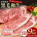 【ふるさと納税】【12回定期便】佐賀県産 黒毛和牛 贅沢 サーロイン ステーキ 250g×3枚（計750g）【株式会社いろは精肉店】お肉 肉 牛肉 冷凍 和牛 [IAG092]