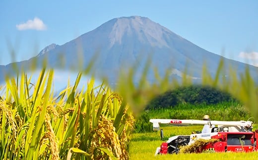 令和7年産 大山しらゆき米 10kg　無洗米　コシヒカリ