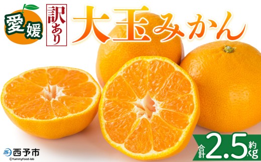 ＜【訳あり】愛媛県産 大玉みかん 約2.5kg＞『2026年11月上旬～1月下旬迄順次発送予定』わけあり 訳アリ 大きい  おおだま みかん 蜜柑 果物 くだもの フルーツ ミカン 果汁 国産 特産品 株式会社三代目みかん職人 愛媛 西予市【常温】